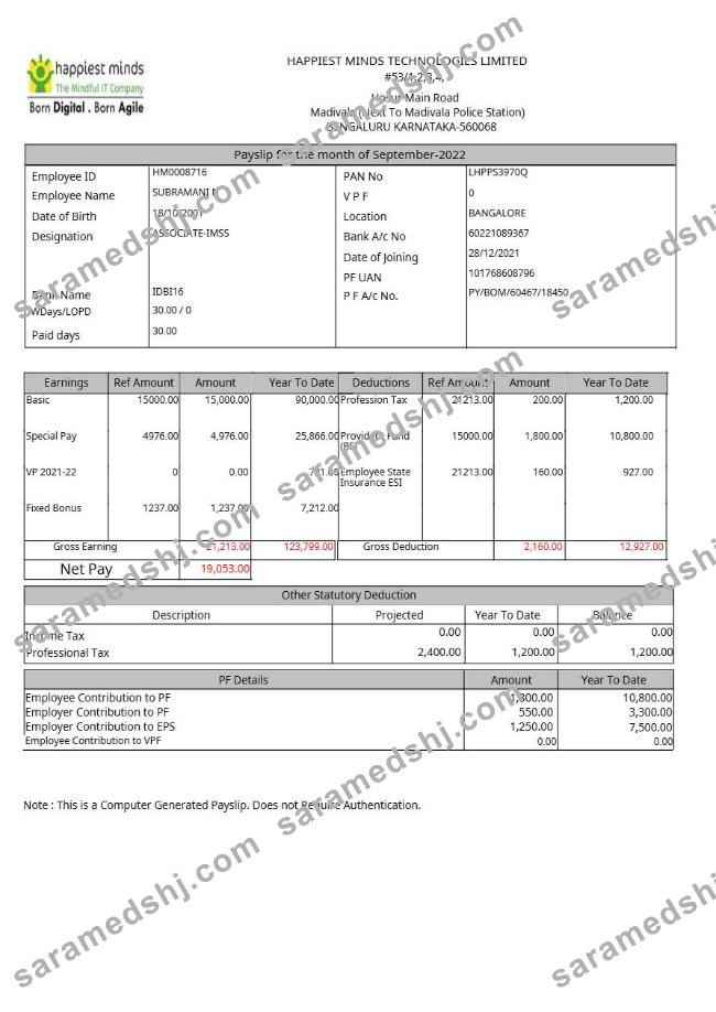 Happiest Minds Technologies payslip template in Word and PDF formats.pdf, 1